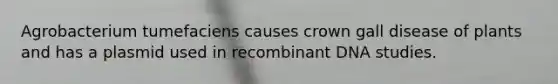 Agrobacterium tumefaciens causes crown gall disease of plants and has a plasmid used in recombinant DNA studies.