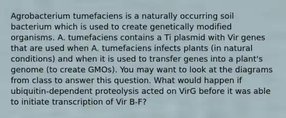 Agrobacterium tumefaciens is a naturally occurring soil bacterium which is used to create genetically modified organisms. A. tumefaciens contains a Ti plasmid with Vir genes that are used when A. tumefaciens infects plants (in natural conditions) and when it is used to transfer genes into a plant's genome (to create GMOs). You may want to look at the diagrams from class to answer this question. What would happen if ubiquitin-dependent proteolysis acted on VirG before it was able to initiate transcription of Vir B-F?