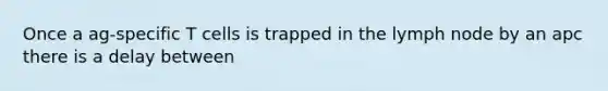 Once a ag-specific T cells is trapped in the lymph node by an apc there is a delay between