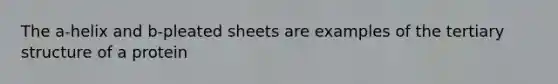 The a-helix and b-pleated sheets are examples of the tertiary structure of a protein