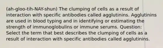 (ah-gloo-tih-NAY-shun) The clumping of cells as a result of interaction with specific antibodies called agglutinins. Agglutinins are used in blood typing and in identifying or estimating the strength of immunoglobulins or immune serums. Question: Select the term that best describes the clumping of cells as a result of interaction with specific antibodies called agglutinins.​