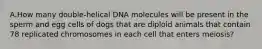 A.How many double-helical DNA molecules will be present in the sperm and egg cells of dogs that are diploid animals that contain 78 replicated chromosomes in each cell that enters meiosis?