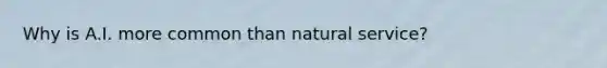 Why is A.I. more common than natural service?