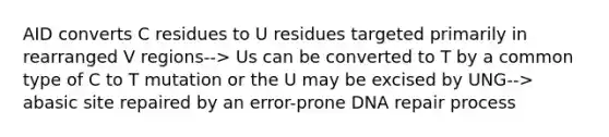 AID converts C residues to U residues targeted primarily in rearranged V regions--> Us can be converted to T by a common type of C to T mutation or the U may be excised by UNG--> abasic site repaired by an error-prone DNA repair process