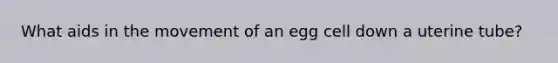 What aids in the movement of an egg cell down a uterine tube?