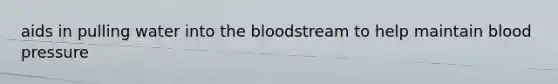 aids in pulling water into the bloodstream to help maintain blood pressure