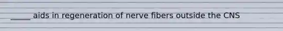 _____ aids in regeneration of nerve fibers outside the CNS