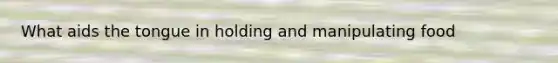 What aids the tongue in holding and manipulating food