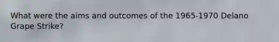 What were the aims and outcomes of the 1965-1970 Delano Grape Strike?