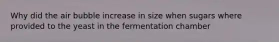 Why did the air bubble increase in size when sugars where provided to the yeast in the fermentation chamber