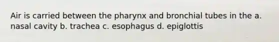 Air is carried between the pharynx and bronchial tubes in the a. nasal cavity b. trachea c. esophagus d. epiglottis