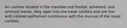 air cavities located in the maxillae and frontal, spheniod, and ethmoid bones, they open into the nasal cavities and are line with ciliated epithelium continuous with the mucosa of the nasal cavities.