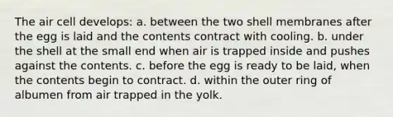 The air cell develops: a. between the two shell membranes after the egg is laid and the contents contract with cooling. b. under the shell at the small end when air is trapped inside and pushes against the contents. c. before the egg is ready to be laid, when the contents begin to contract. d. within the outer ring of albumen from air trapped in the yolk.
