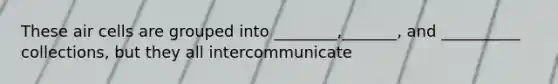 These air cells are grouped into ________,_______, and __________ collections, but they all intercommunicate