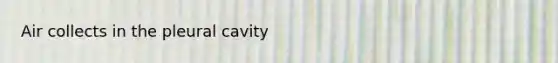 Air collects in the pleural cavity