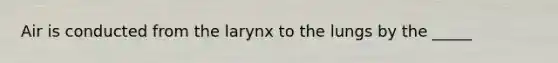 Air is conducted from the larynx to the lungs by the _____