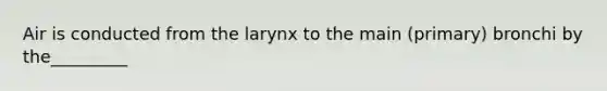 Air is conducted from the larynx to the main (primary) bronchi by the_________