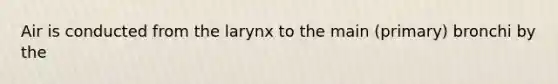 Air is conducted from the larynx to the main (primary) bronchi by the