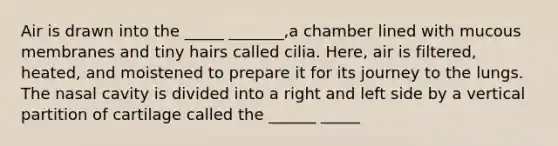 Air is drawn into the _____ _______,a chamber lined with mucous membranes and tiny hairs called cilia. Here, air is filtered, heated, and moistened to prepare it for its journey to the lungs. The nasal cavity is divided into a right and left side by a vertical partition of cartilage called the ______ _____