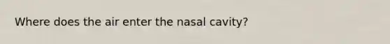 Where does the air enter the nasal cavity?