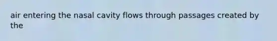 air entering the nasal cavity flows through passages created by the