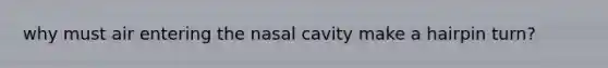 why must air entering the nasal cavity make a hairpin turn?