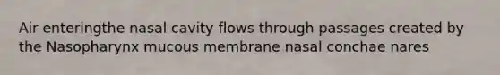 Air enteringthe nasal cavity flows through passages created by the Nasopharynx mucous membrane nasal conchae nares