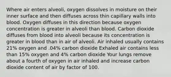 Where air enters alveoli, oxygen dissolves in moisture on their inner surface and then diffuses across thin capillary walls into blood. Oxygen diffuses in this direction because oxygen concentration is greater in alveoli than blood. Carbon dioxide diffuses from blood into alveoli because its concentration is greater in blood than in air of alveoli. Air inhaled usually contains 21% oxygen and .04% carbon dioxide Exhaled air contains less than 15% oxygen and 4% carbon dioxide Your lungs remove about a fourth of oxygen in air inhaled and increase carbon dioxide content of air by factor of 100.