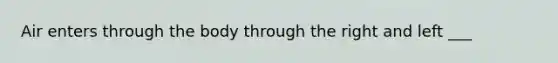 Air enters through the body through the right and left ___