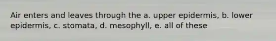 Air enters and leaves through the a. upper epidermis, b. lower epidermis, c. stomata, d. mesophyll, e. all of these