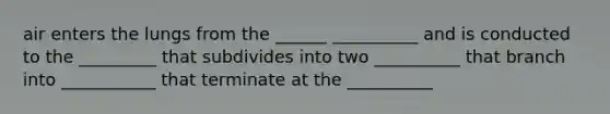 air enters the lungs from the ______ __________ and is conducted to the _________ that subdivides into two __________ that branch into ___________ that terminate at the __________