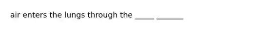 air enters the lungs through the _____ _______