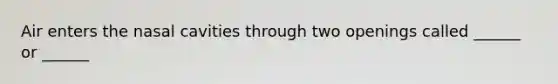 Air enters the nasal cavities through two openings called ______ or ______