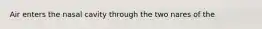 Air enters the nasal cavity through the two nares of the