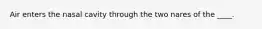 Air enters the nasal cavity through the two nares of the ____.
