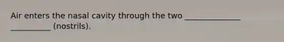 Air enters the nasal cavity through the two ______________ __________ (nostrils).