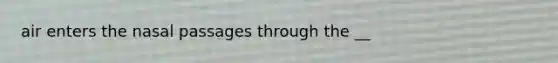 air enters the nasal passages through the __