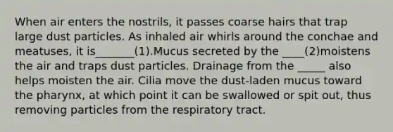 When air enters the nostrils, it passes coarse hairs that trap large dust particles. As inhaled air whirls around the conchae and meatuses, it is_______(1).Mucus secreted by the ____(2)moistens the air and traps dust particles. Drainage from the _____ also helps moisten the air. Cilia move the dust-laden mucus toward the pharynx, at which point it can be swallowed or spit out, thus removing particles from the respiratory tract.