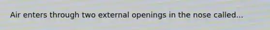 Air enters through two external openings in the nose called...