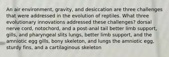 An air environment, gravity, and desiccation are three challenges that were addressed in the evolution of reptiles. What three evolutionary innovations addressed these challenges? dorsal nerve cord, notochord, and a post-anal tail better limb support, gills, and pharyngeal slits lungs, better limb support, and the amniotic egg gills, bony skeleton, and lungs the amniotic egg, sturdy fins, and a cartilaginous skeleton