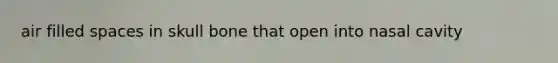 air filled spaces in skull bone that open into nasal cavity