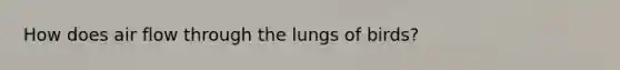 How does air flow through the lungs of birds?