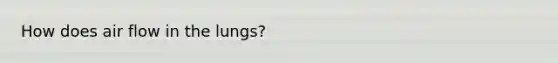 How does air flow in the lungs?