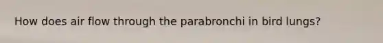 How does air flow through the parabronchi in bird lungs?