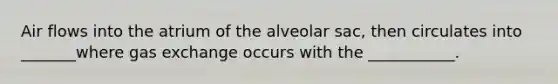 Air flows into the atrium of the alveolar sac, then circulates into _______where gas exchange occurs with the ___________.