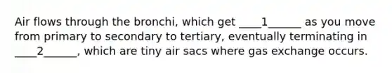 Air flows through the bronchi, which get ____1______ as you move from primary to secondary to tertiary, eventually terminating in ____2______, which are tiny air sacs where gas exchange occurs.