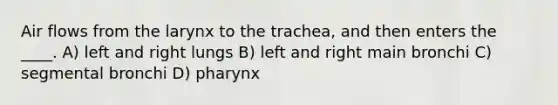 Air flows from the larynx to the trachea, and then enters the ____. A) left and right lungs B) left and right main bronchi C) segmental bronchi D) pharynx