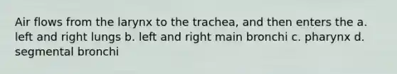 Air flows from the larynx to the trachea, and then enters the a. left and right lungs b. left and right main bronchi c. pharynx d. segmental bronchi