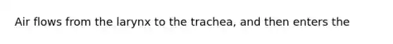 Air flows from the larynx to the trachea, and then enters the