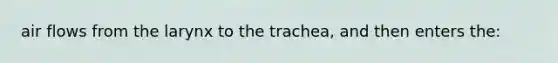 air flows from the larynx to the trachea, and then enters the: